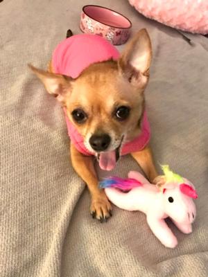 Rosie 