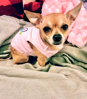Rosie 