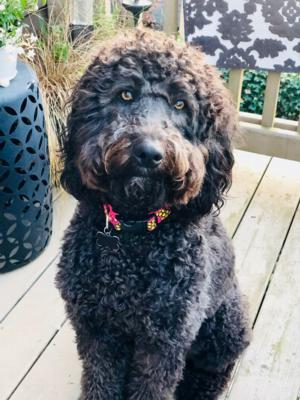 Sophie