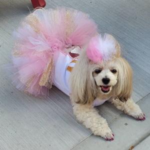 Minky