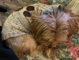 Cooper 