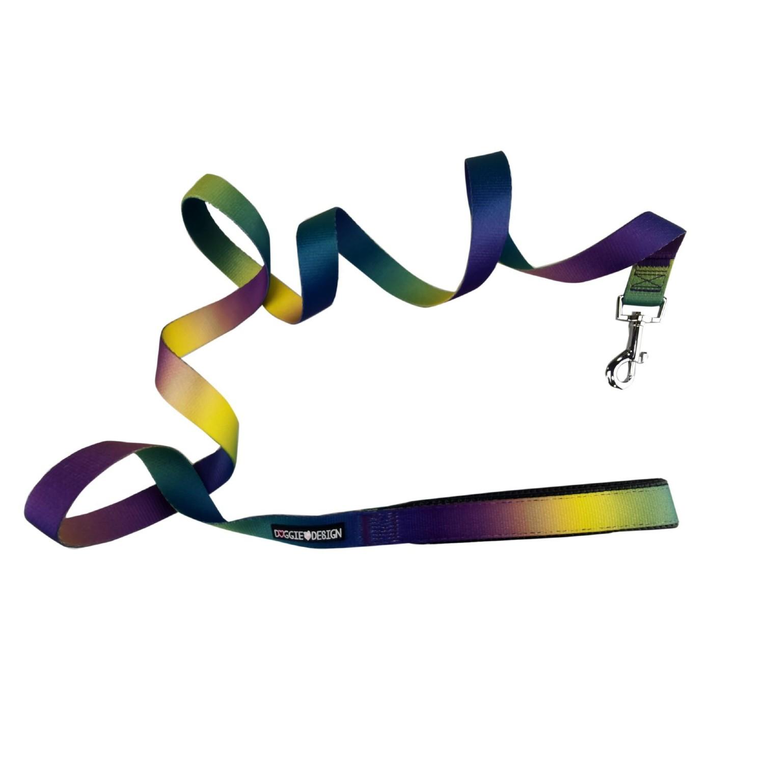 American River Ombre Dog Leash by Doggie Design - Cosmic Splash