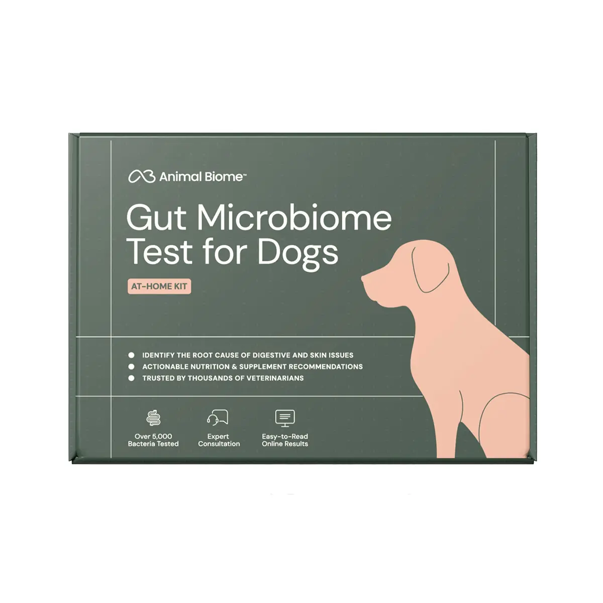 AnimalBiome DoggyBiome Gut Health Test for Dogs
