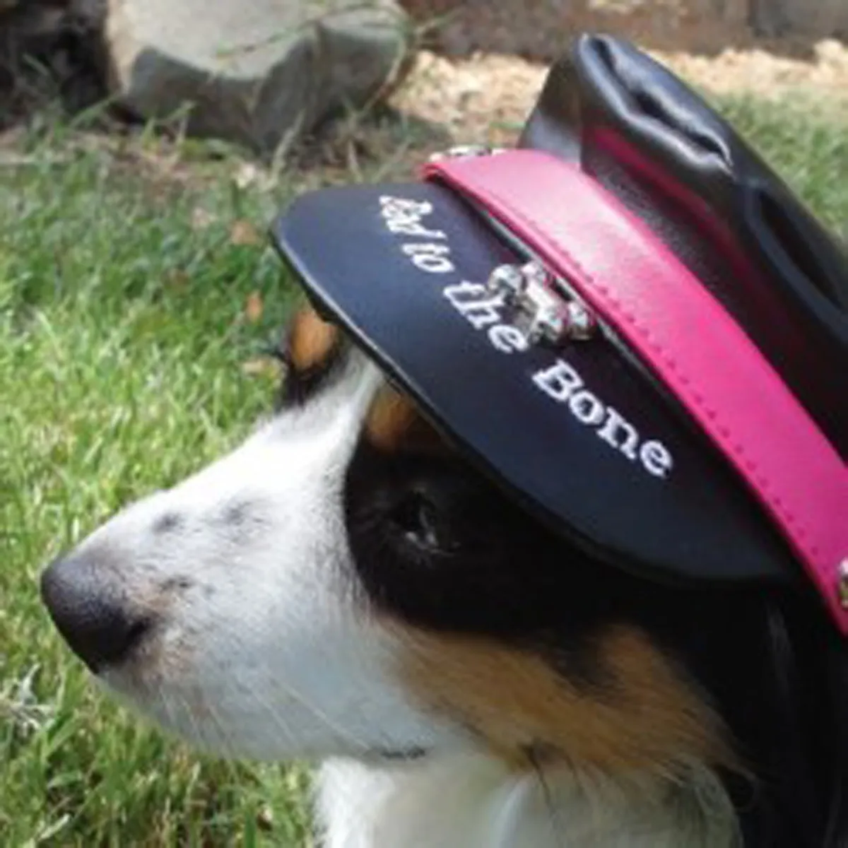 Doggles Bad to the Bone Biker Dog Hat - Black with Magenta Trim