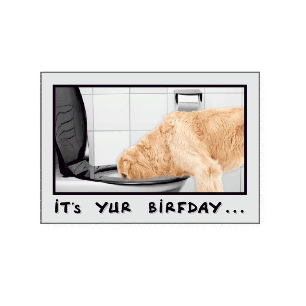 Dog Speak Birthday Greeting Card - Drink Responzibly