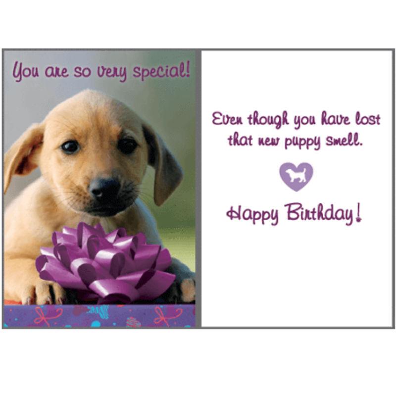 Dog Speak Birthday Greeting Card - New Puppy Smell