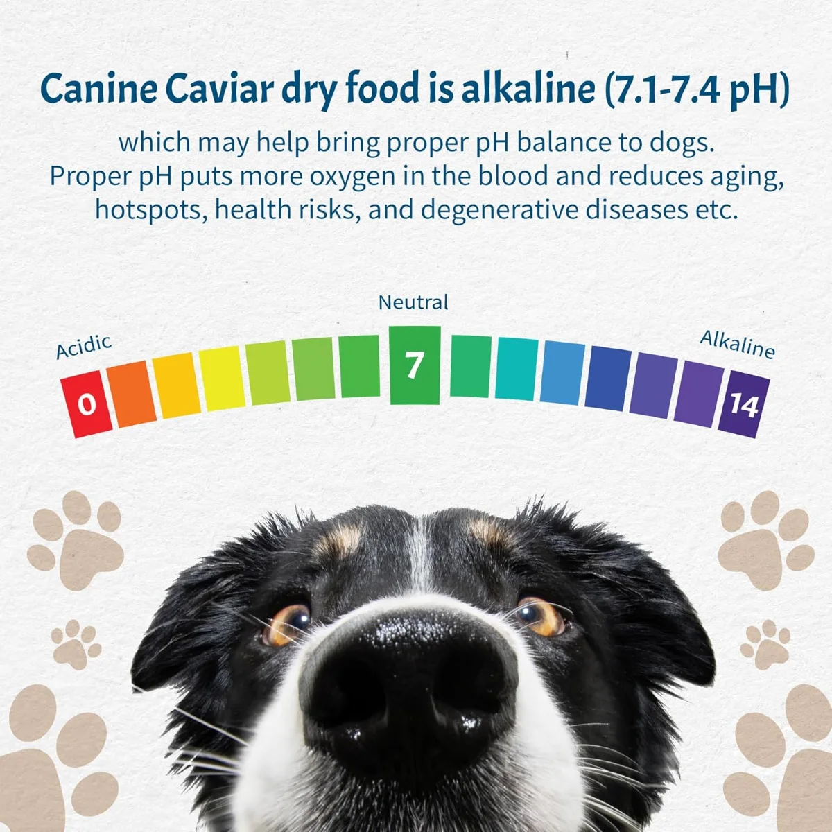 canine-caviar-grain-free-
