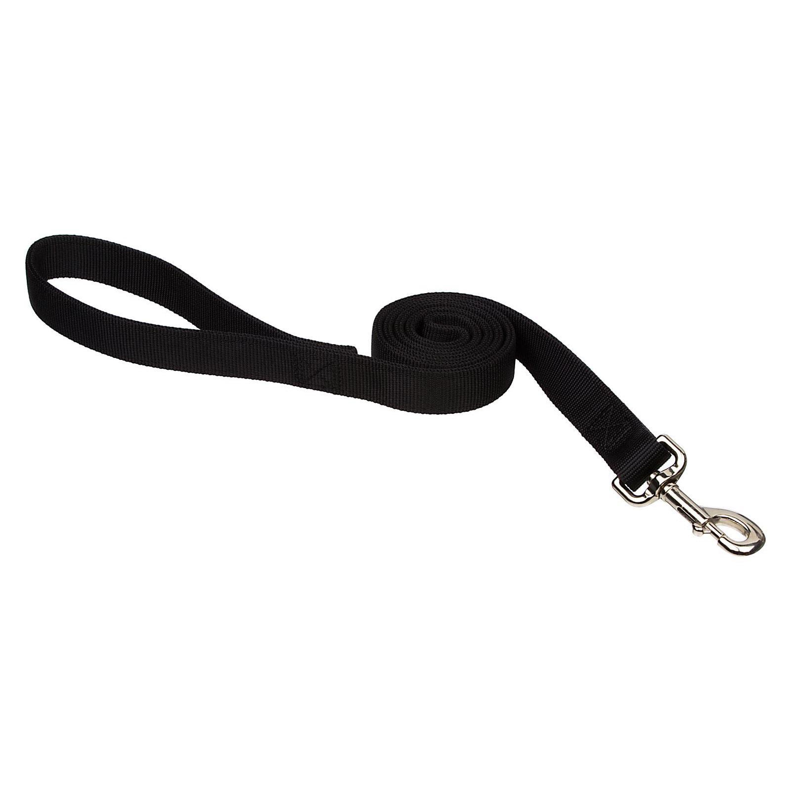 Casual Canine Nylon Dog Leash - Jet Black