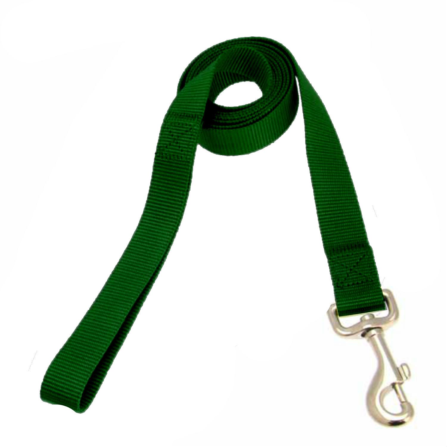 Casual Canine Nylon Dog Leash - Green