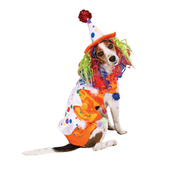 Clown Dog Halloween Costume by Zack & Zoey | BaxterBoo