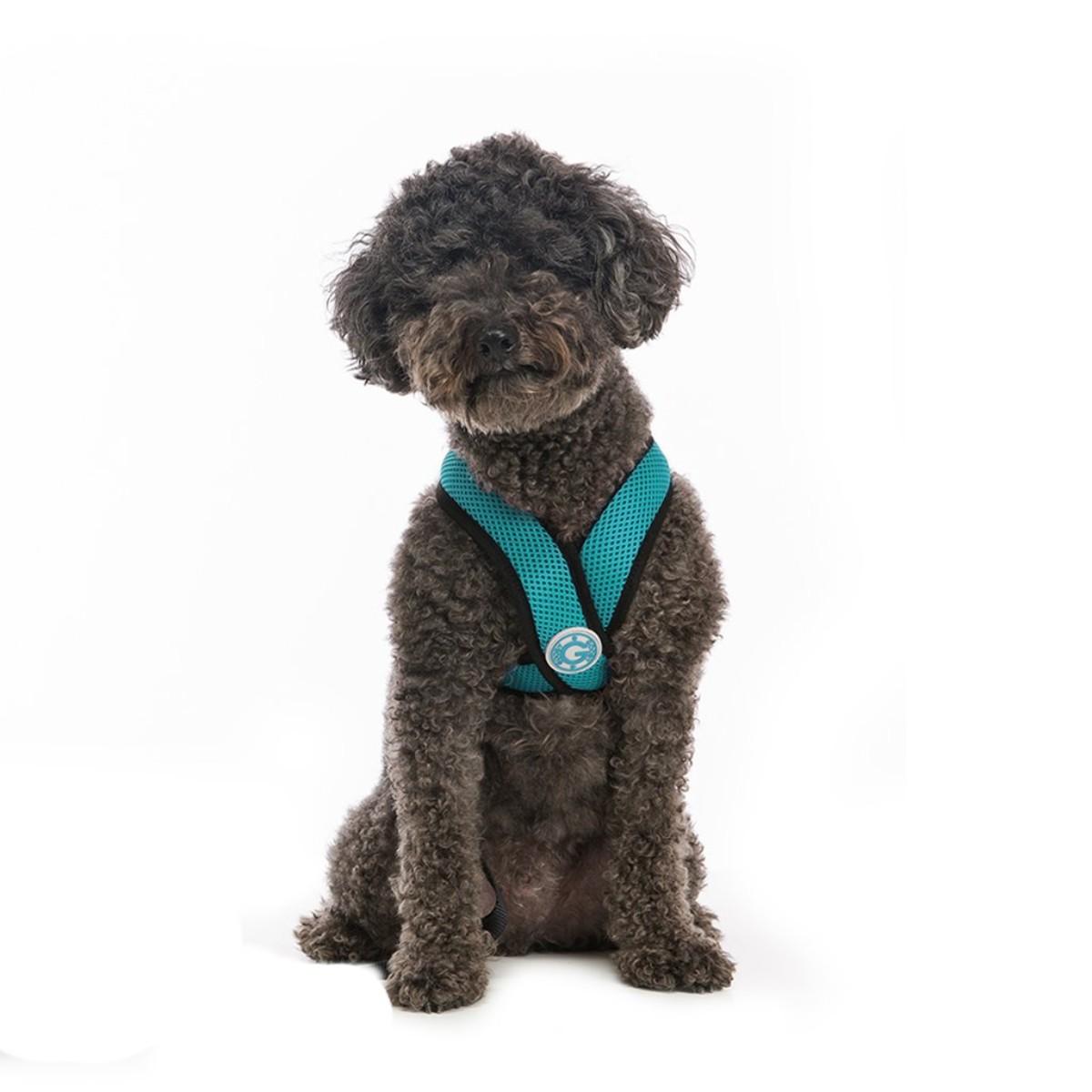 Comfort X Dog Harness by Gooby - Turquoise