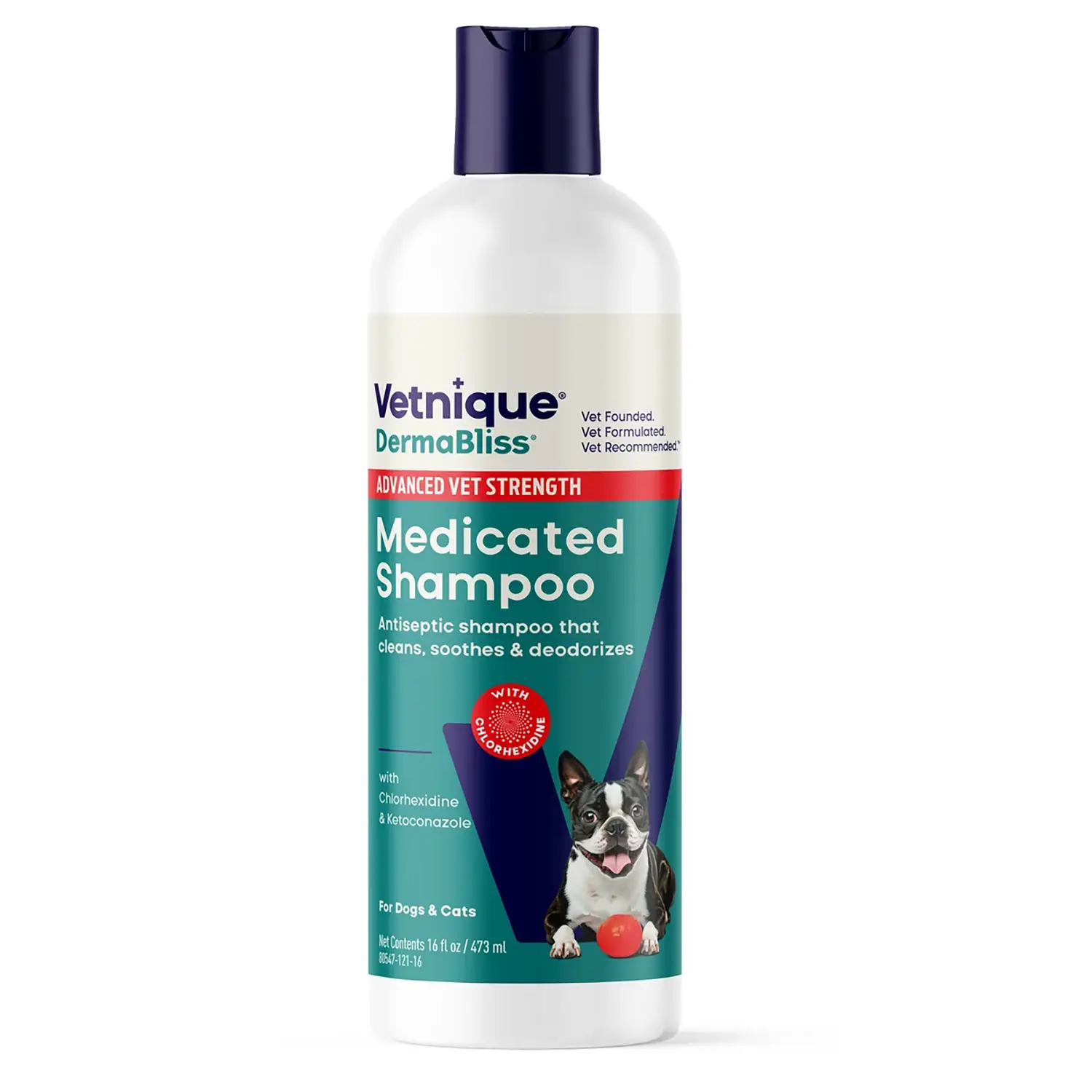 Dermabliis Chlorhexidine Shampoo for Dogs & Cats