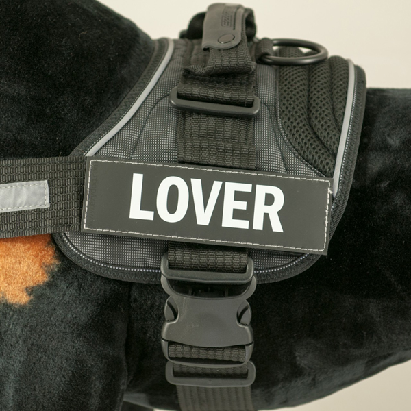 EzyDog Side Patches for Convert Harness - Lover