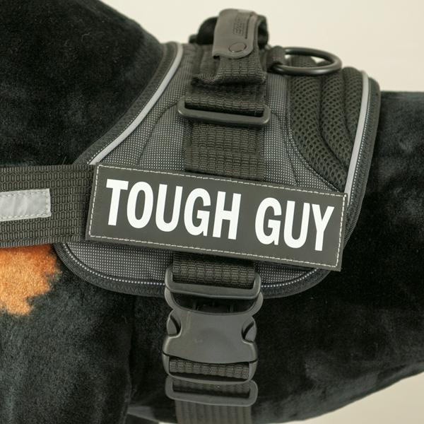 EzyDog Side Patches for Convert Harness - Tough Guy