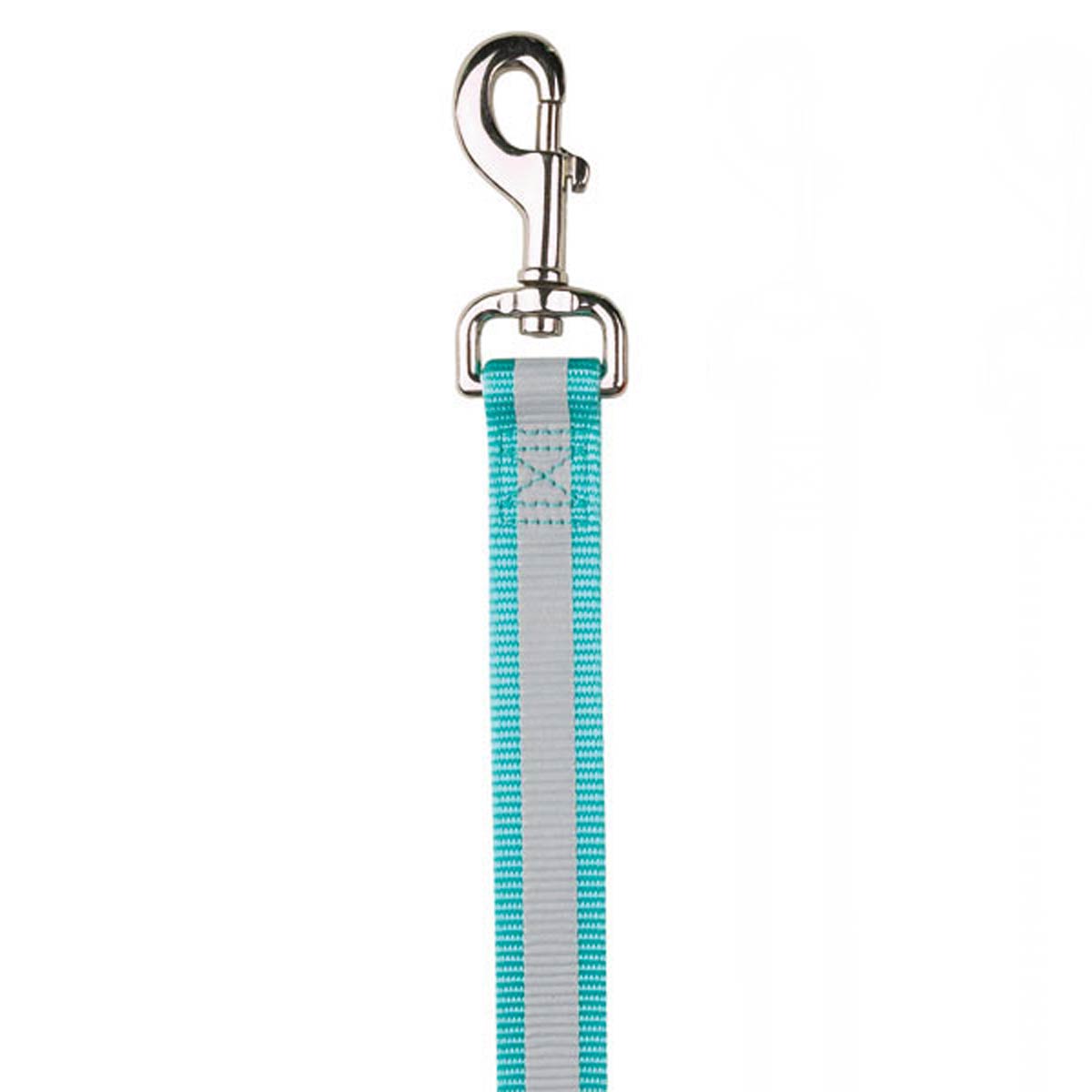 Guardian Gear Reflective Dog Leash - Mint Blue