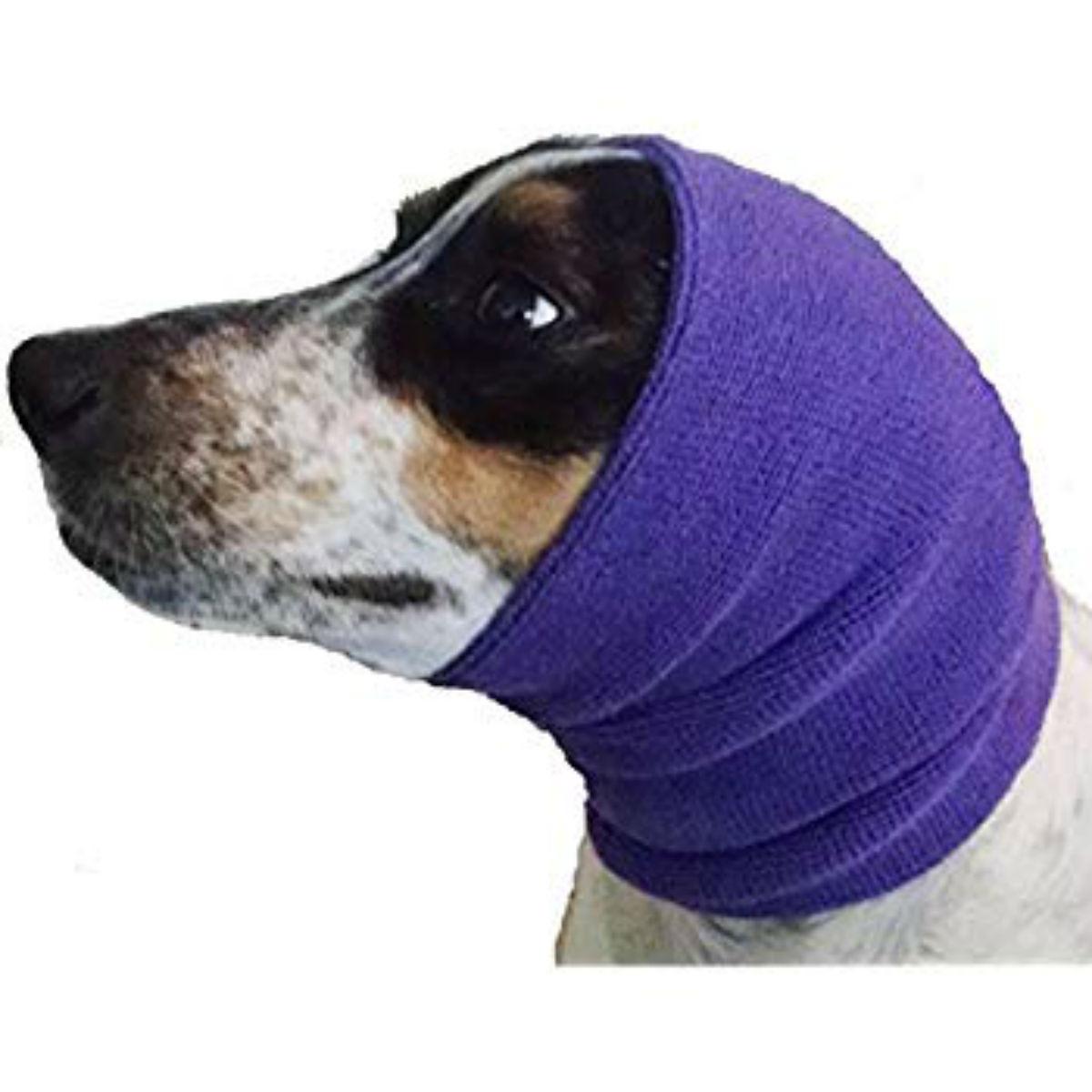 Happy Hoodie Dog Snood - Purple