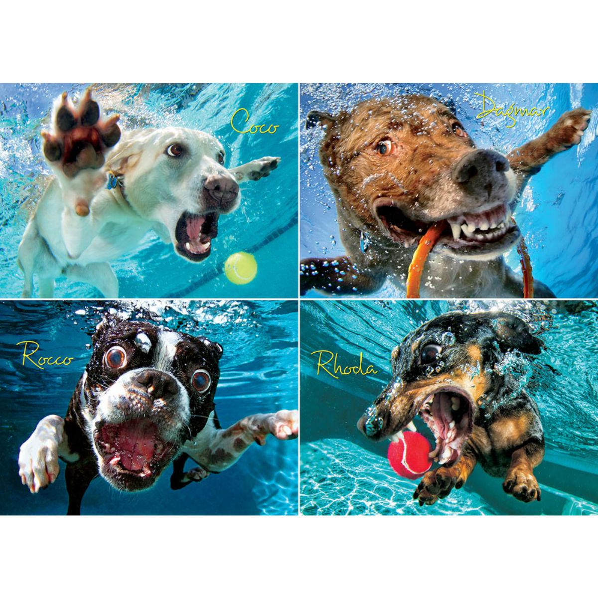 Underwater Dogs Puzzle for Humans - Pool Pawty