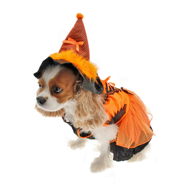 LED Witch Dog Costume - Orange and Black | BaxterBoo
