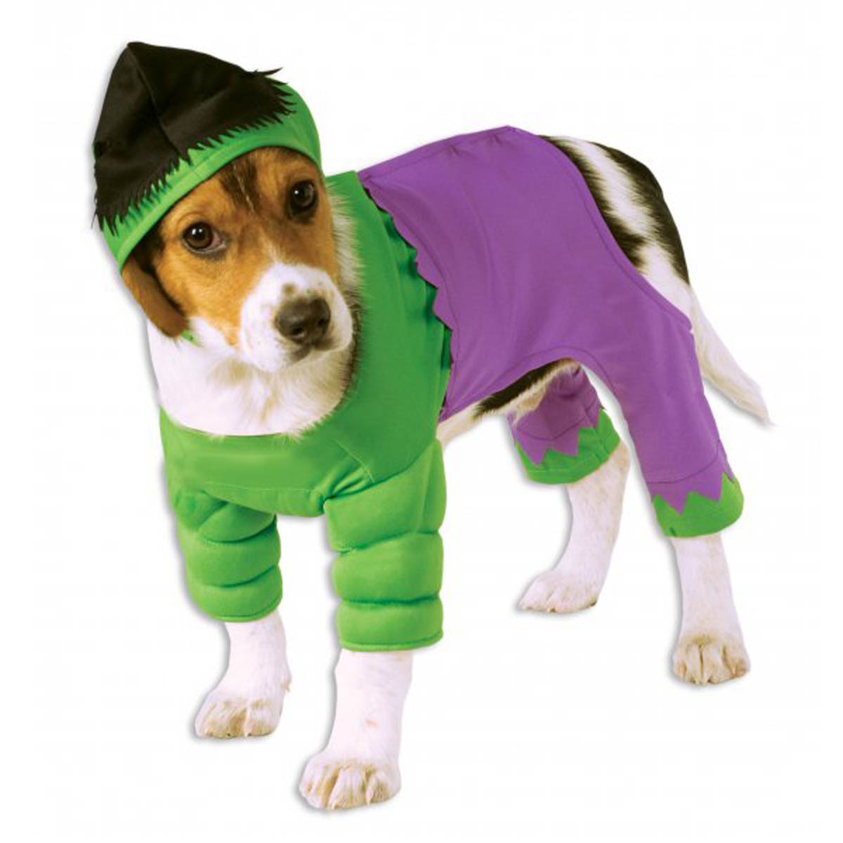 Marvel Hulk Dog Costume BaxterBoo
