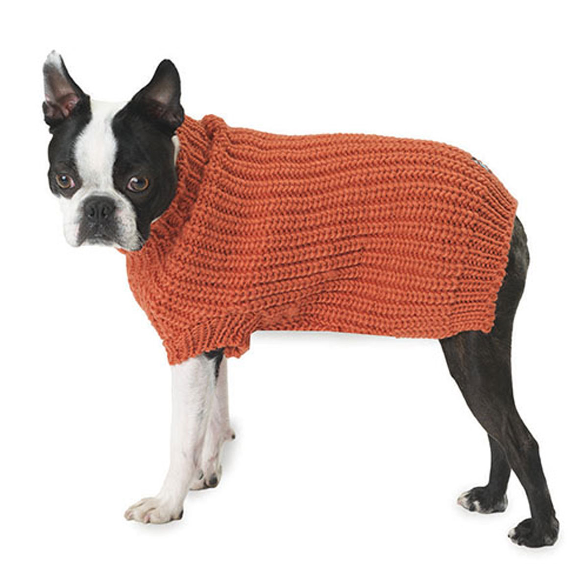 Morgan's Fisherman Dog Sweater - Orange | BaxterBoo