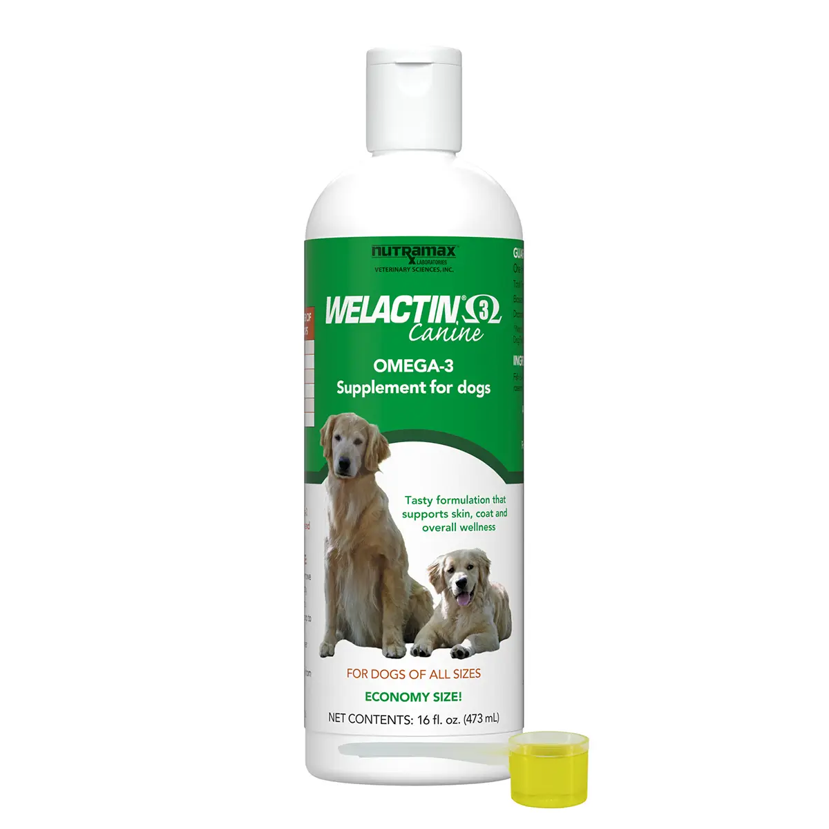 Nutramax Welactin Omega-3 Fish Oil Skin and Coat Health Supplement Liquid for Dogs, 16 Ounce