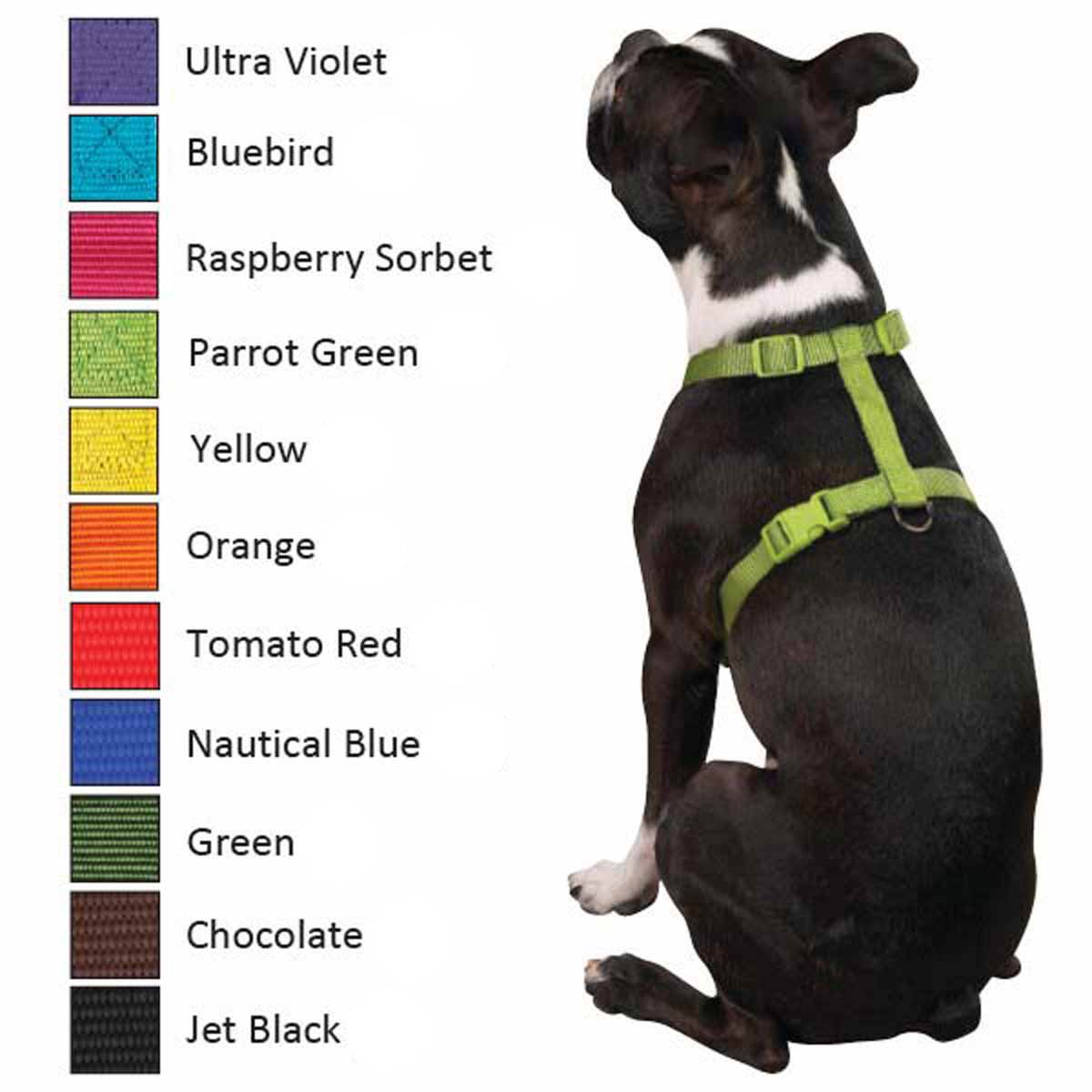 Zack & Zoey Nylon Dog Harness - Orange