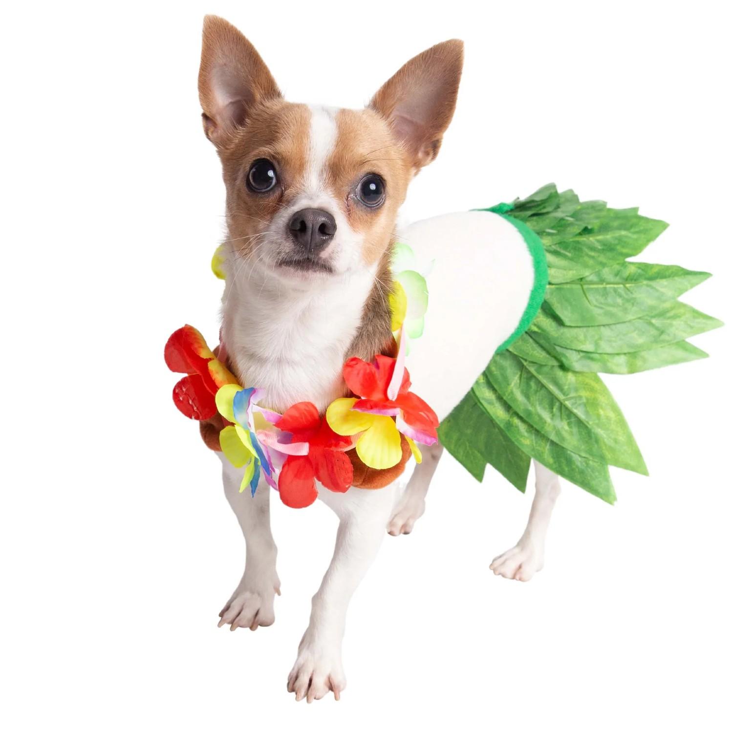 Pet Krewe Hula Girl Dog Costume