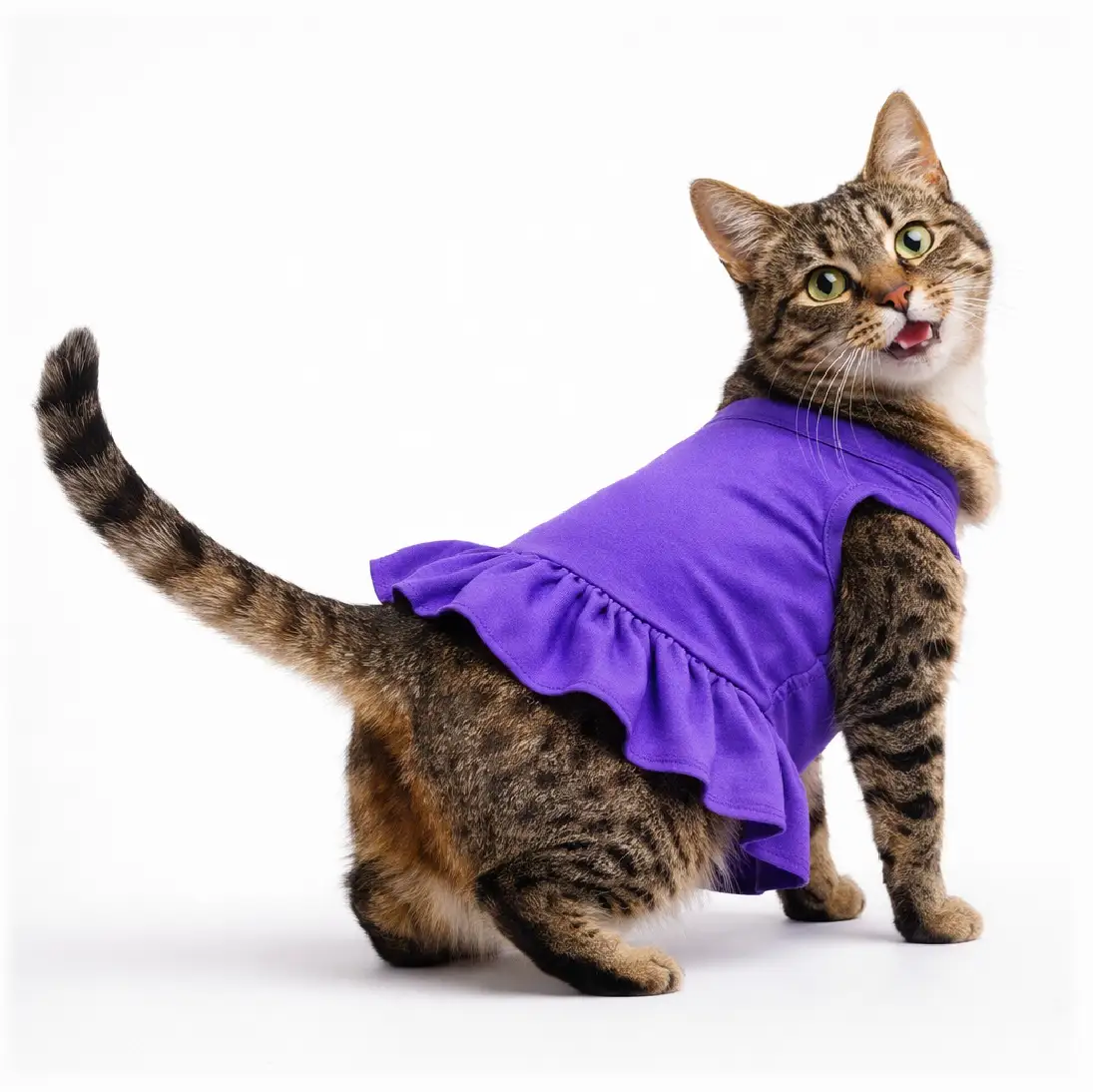 Plain Dog and Cat Dress - Purple