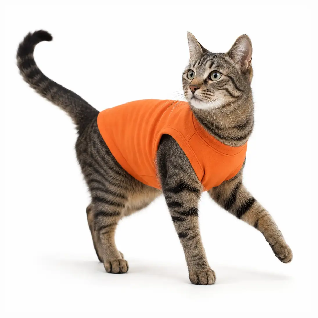 Plain Dog and Cat Shirt - Orange