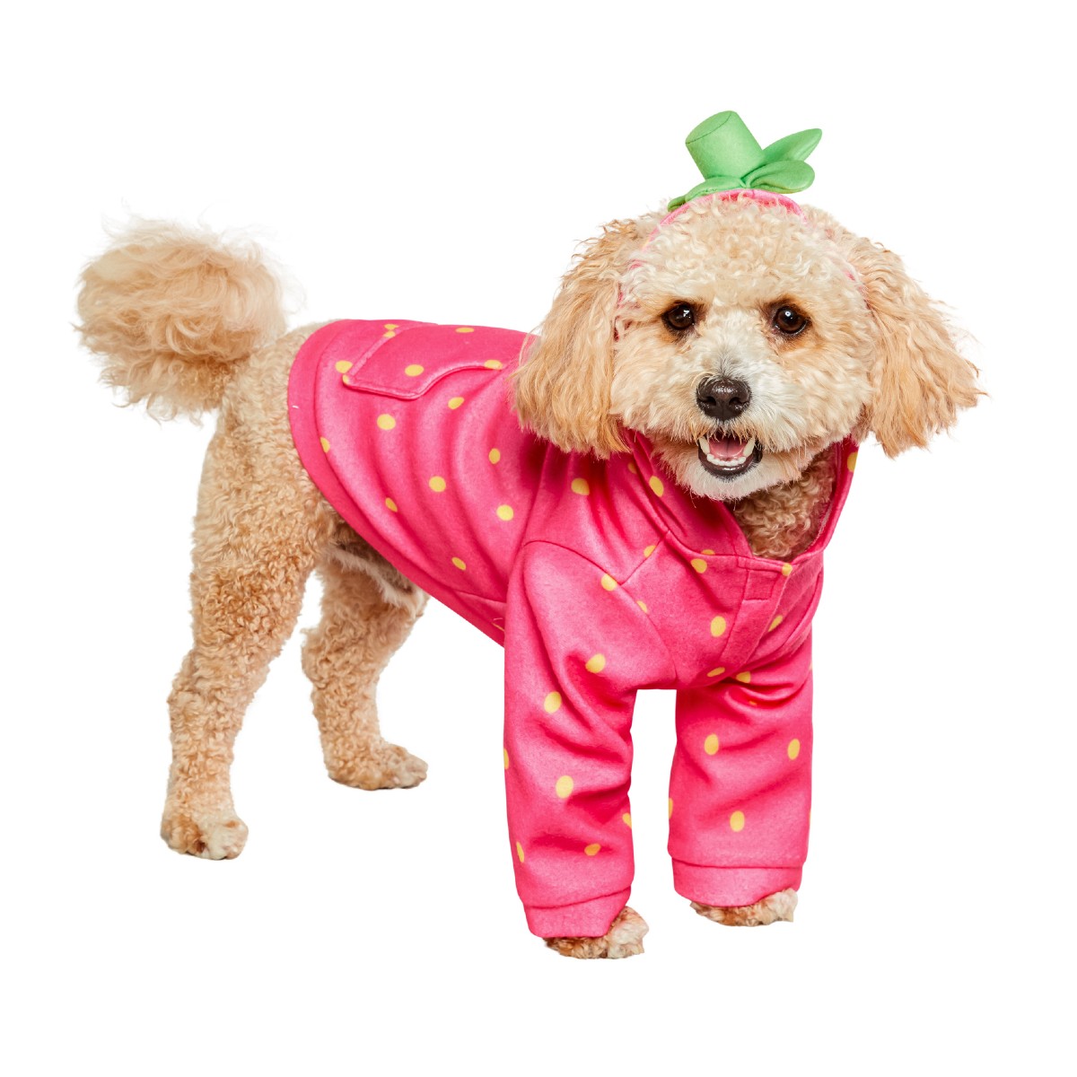 Rubies Strawberry Hoodie Dog Costume
