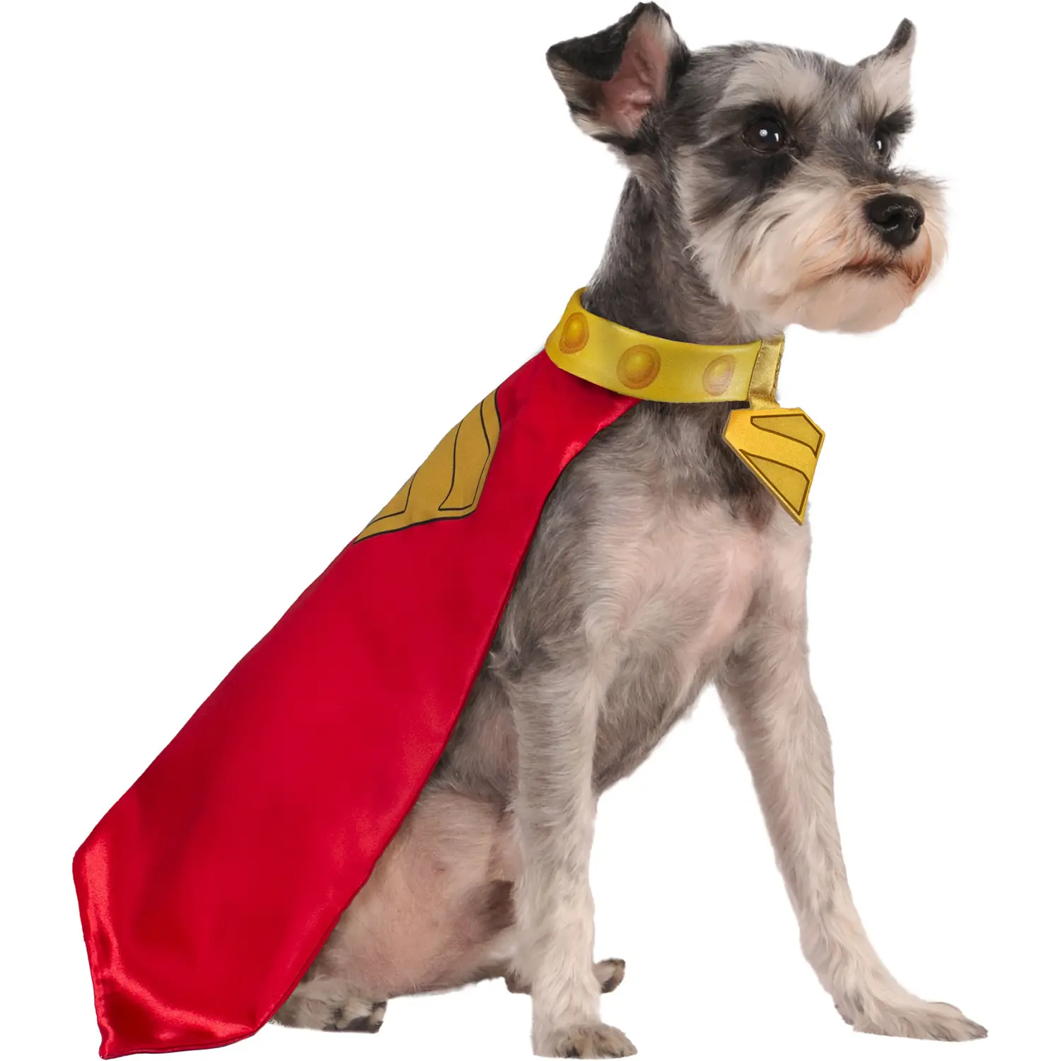 Rubies Krypto Cape and Collar Pet Costume