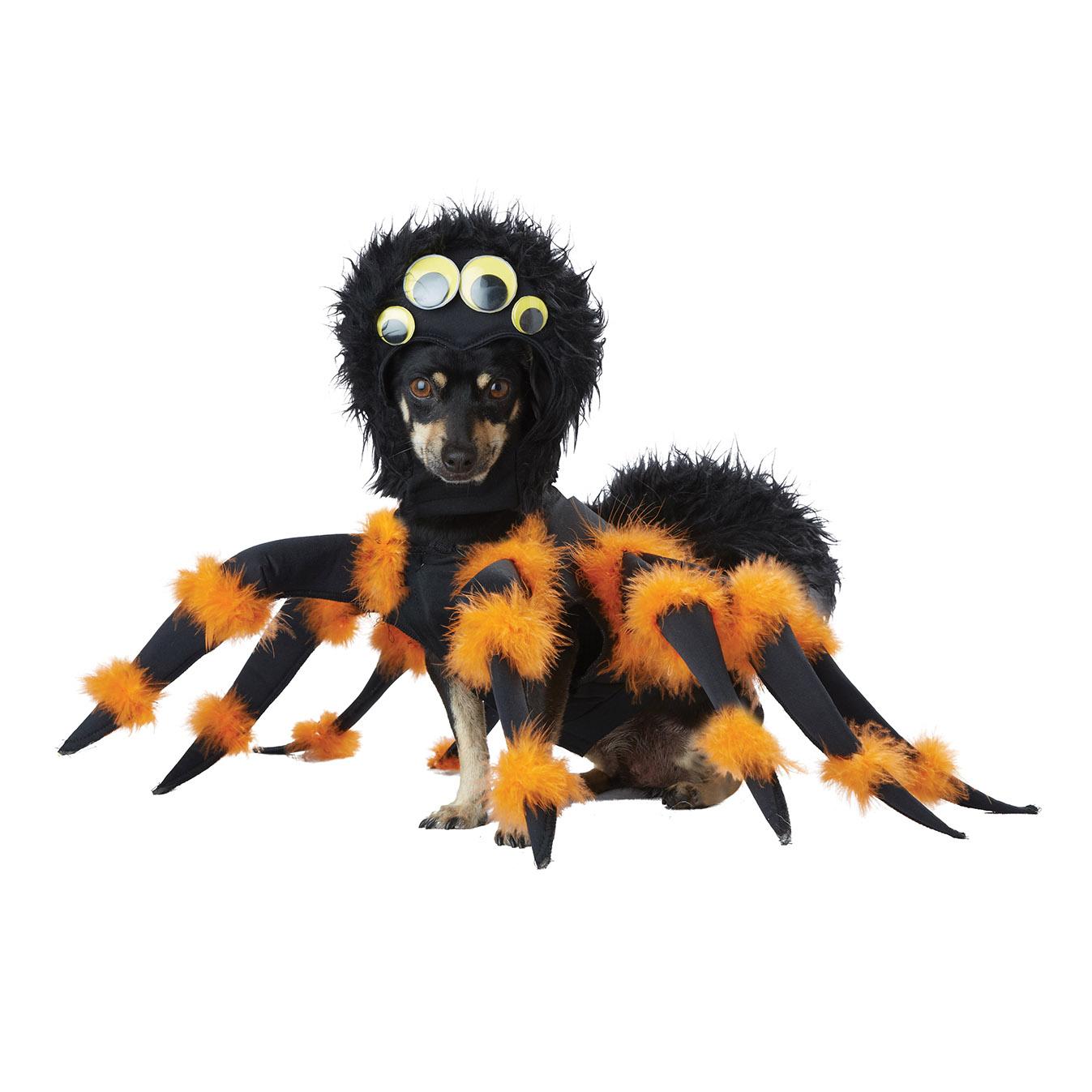 Spider Pup Dog Costume