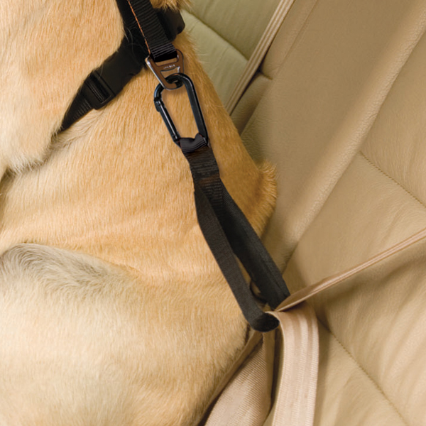 Kurgo Tru-Fit Smart Harness Seatbelt Tether with Carabiner - Black