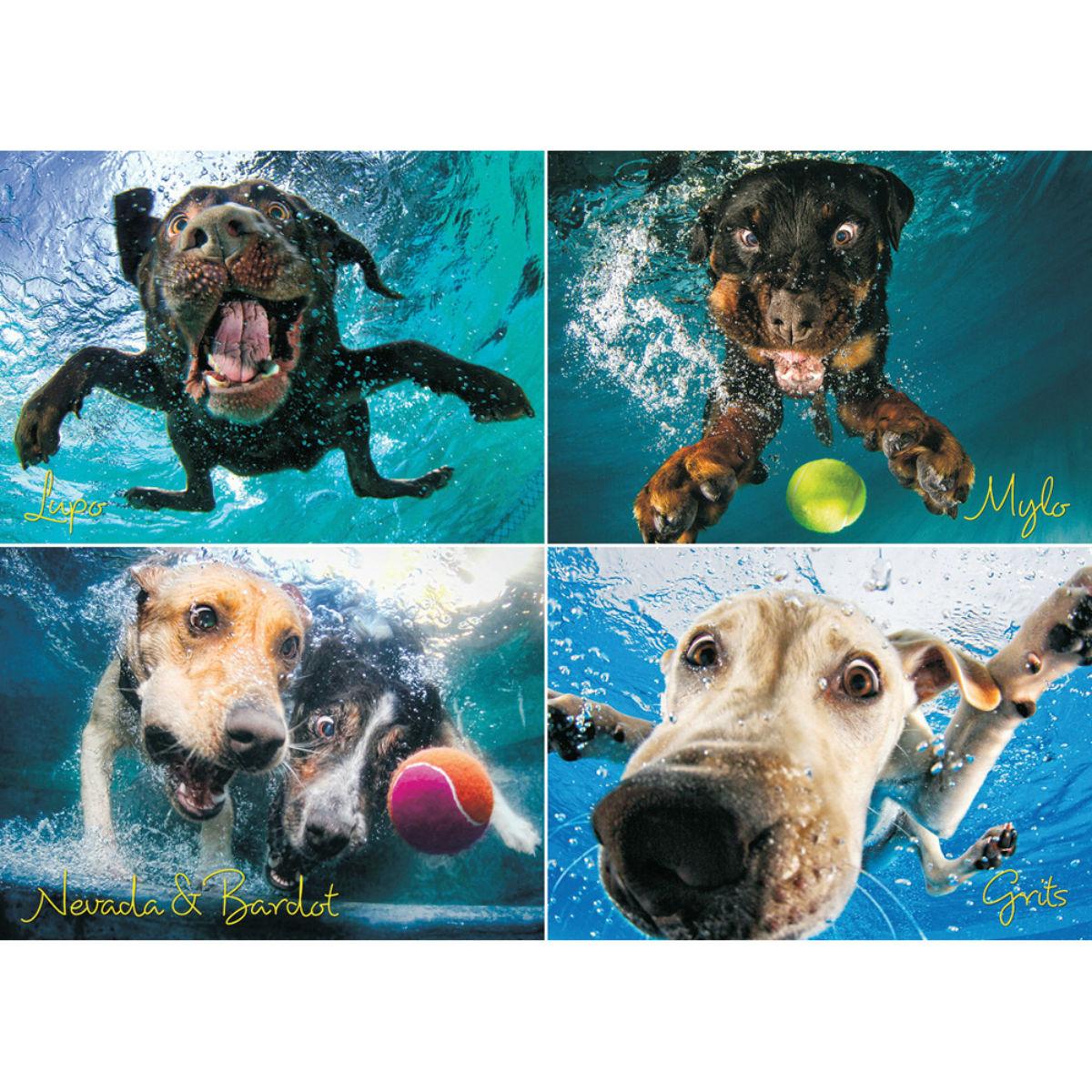 Underwater Dogs Puzzle for Humans - Splash