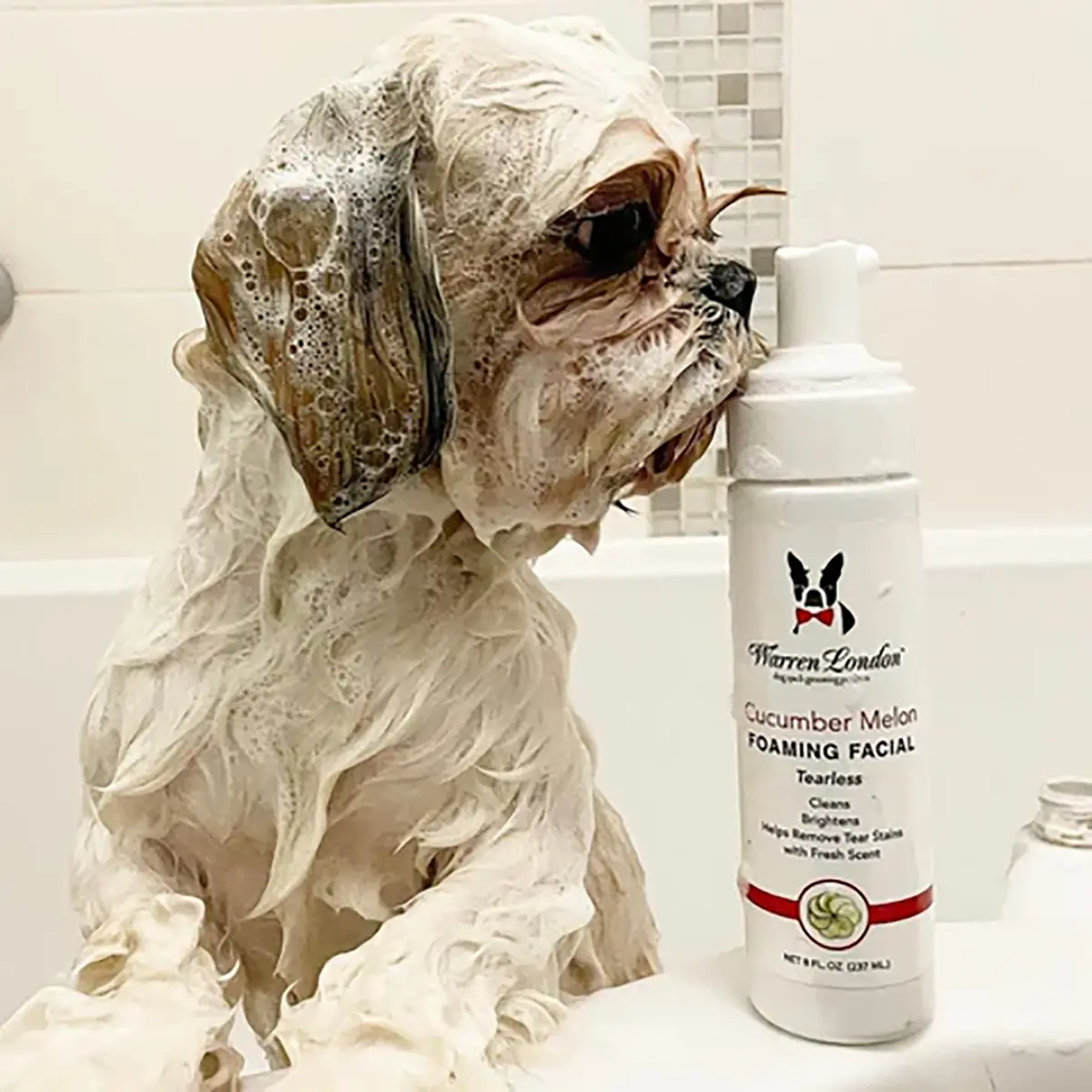 Warren London Foaming Dog Facial - Cucumber Melon