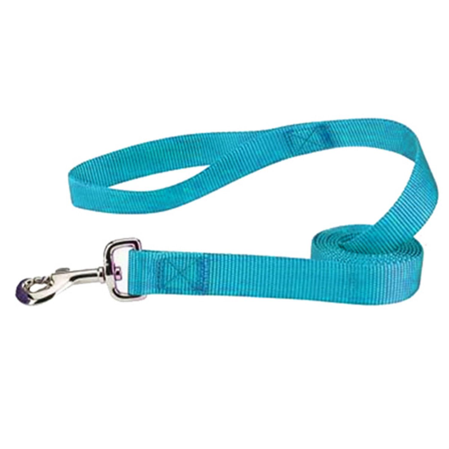 Casual Canine Nylon Dog Leash - Bluebird