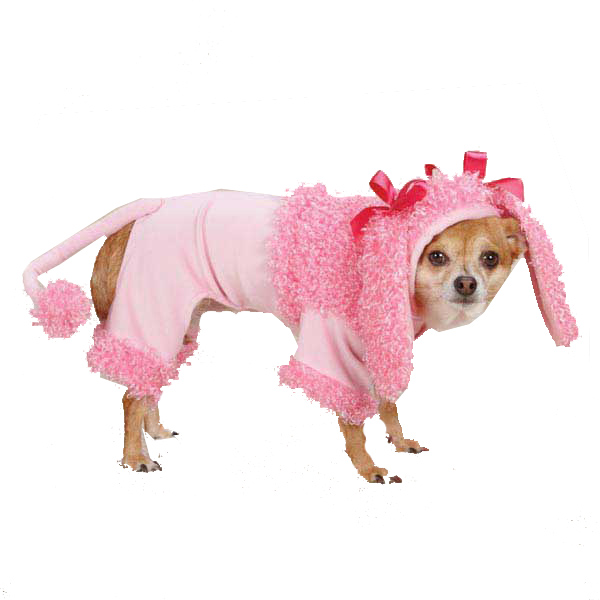 Pink Poodle Halloween Dog Costume | BaxterBoo