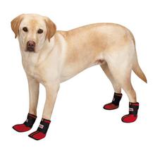 Dog Boots Dog Boots & Shoes | BaxterBoo