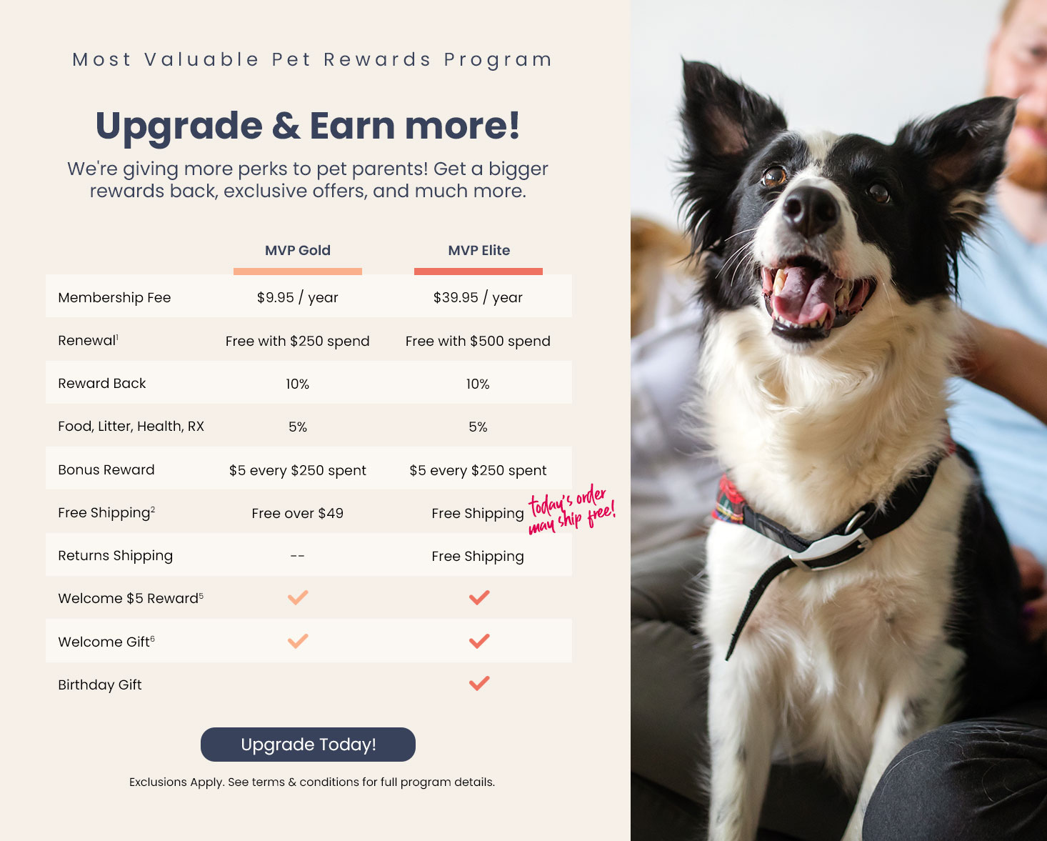Most Valuable Pet Loyalty Program