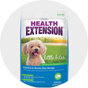 Health Extension