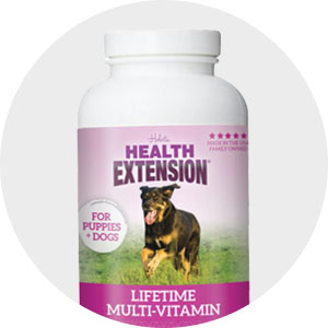 Dog Health - Vitamins / Supplements