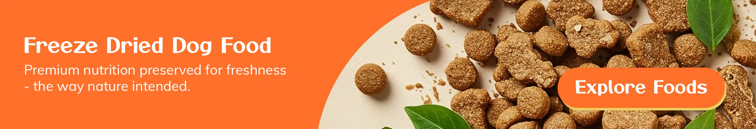 freeze dried dog food