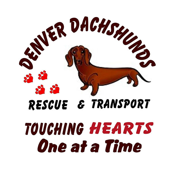 Denver Dachshund Rescue & Transport