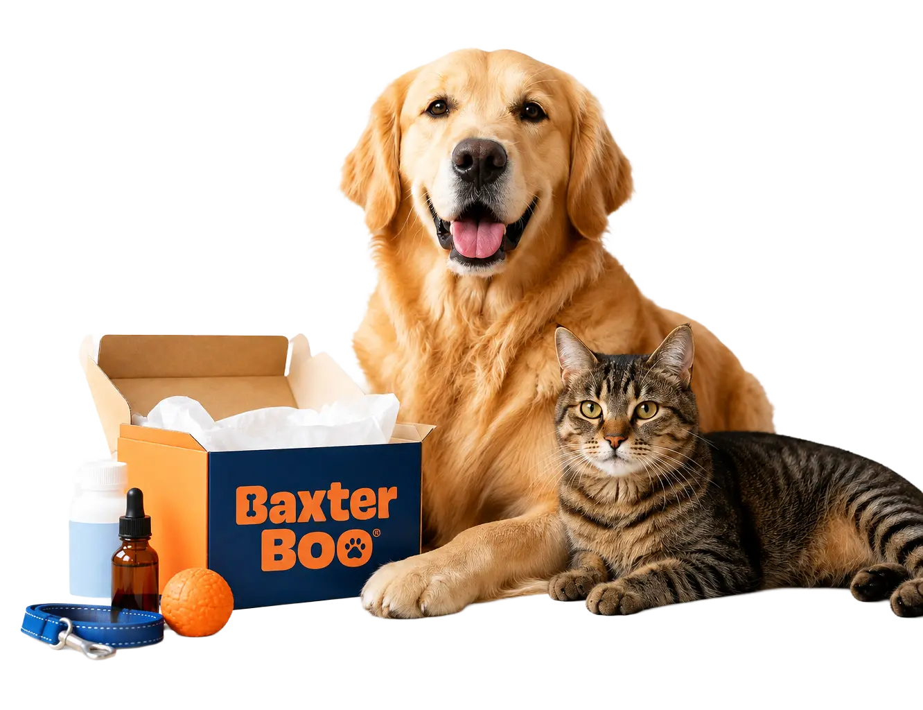 Golden retriever and cat with a BaxterBoo pet pharmacy delivery box