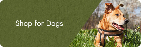 Sustainability for Dogs