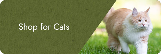 Sustainability for Cats