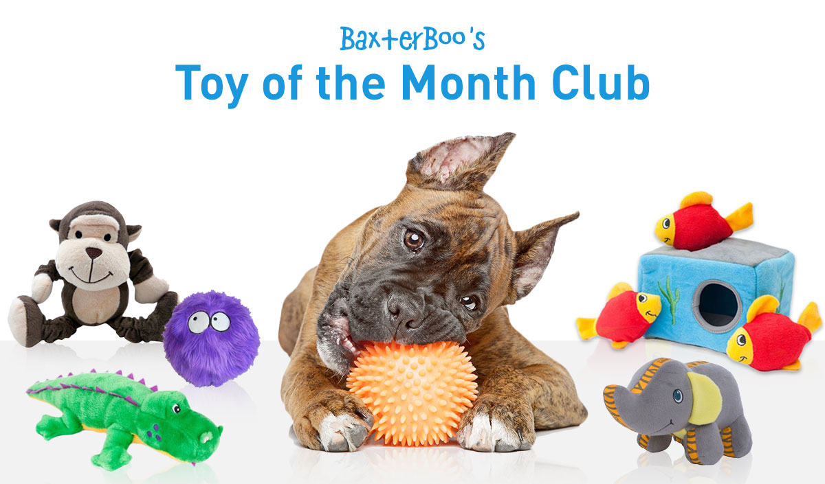 toy of the month